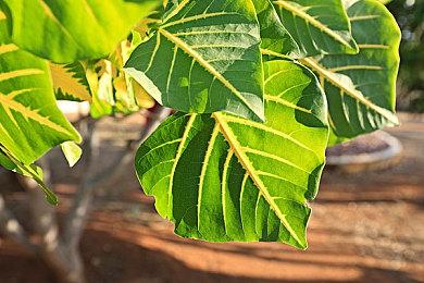 E3 2021：《英雄不再3》新实机演示 特拉维斯很猛